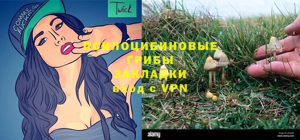 твердый Абаза