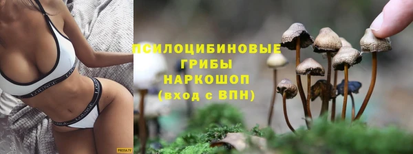 дживик Алексин