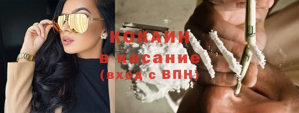твердый Абаза
