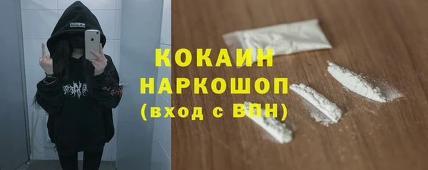 дживик Алексин